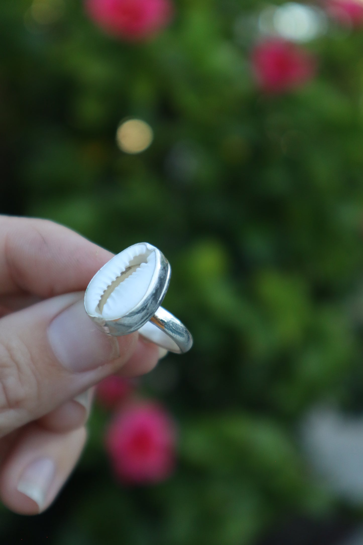 Cowrie shell ring