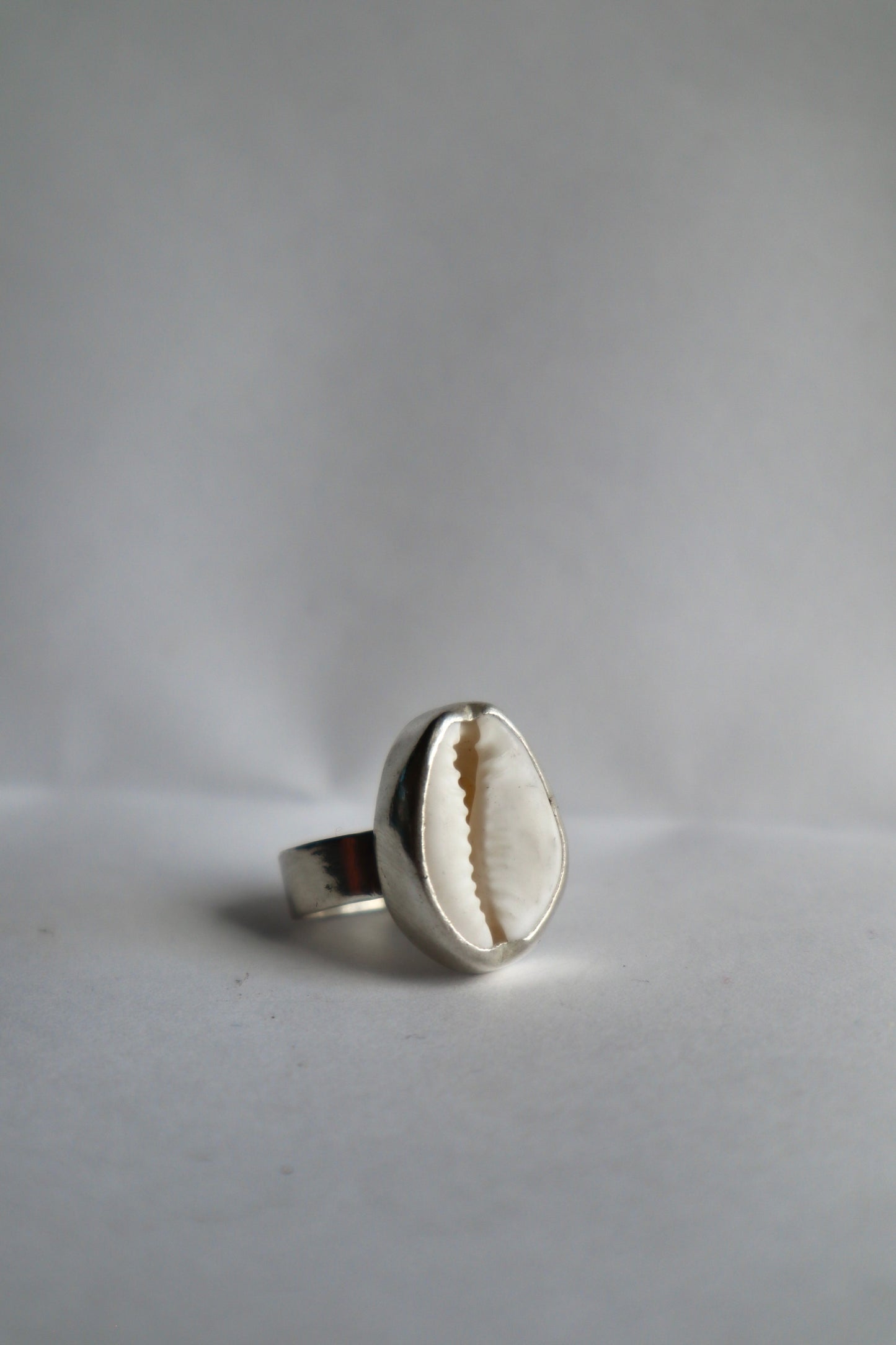 Cowrie ring