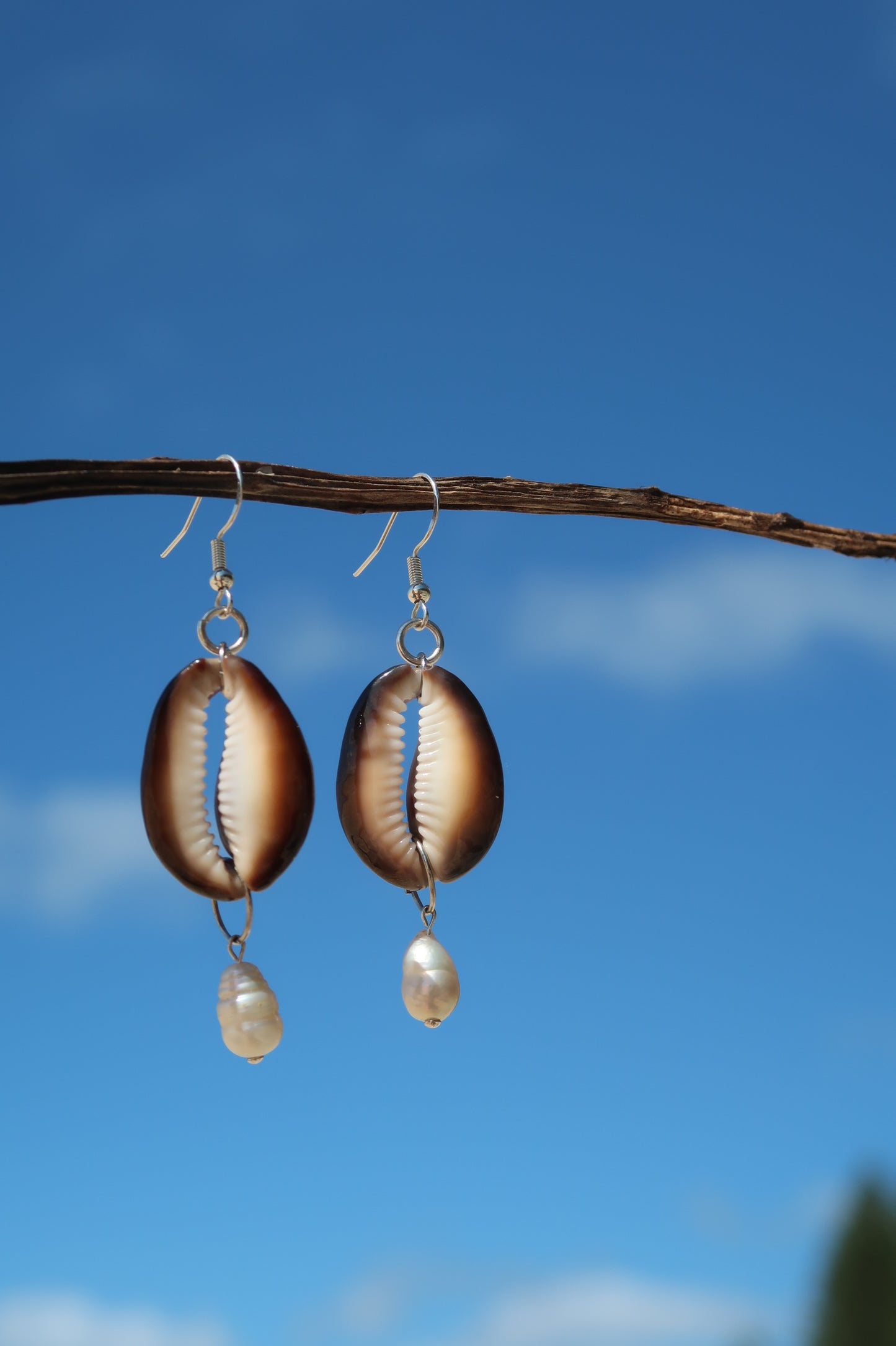 Brown cowrie x white pearl earrings